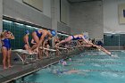 Swimming vs Babson  Wheaton College Swimming vs Babson College. - Photo By: KEITH NORDSTROM : Wheaton, Swimming, Babson